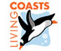 Kiving Coasts, Torquay